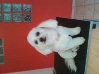 /album/fenykepgaleria/a2013-09-03-12-07-15-jpg1/